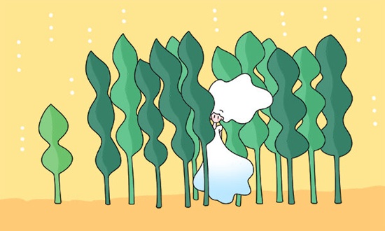 初中毕业后的另一条赛道：为什么说韶山职业中专学校值得考虑