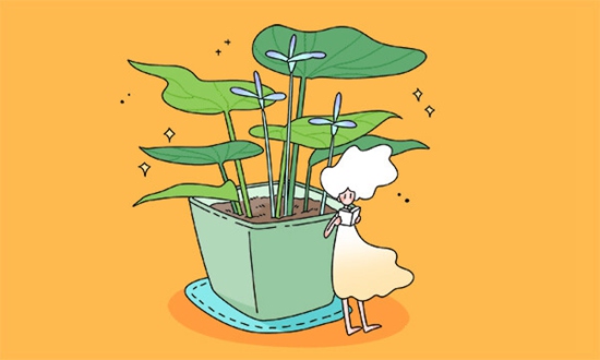 鄂州经贸学校的师资怎么样 教学质量如何